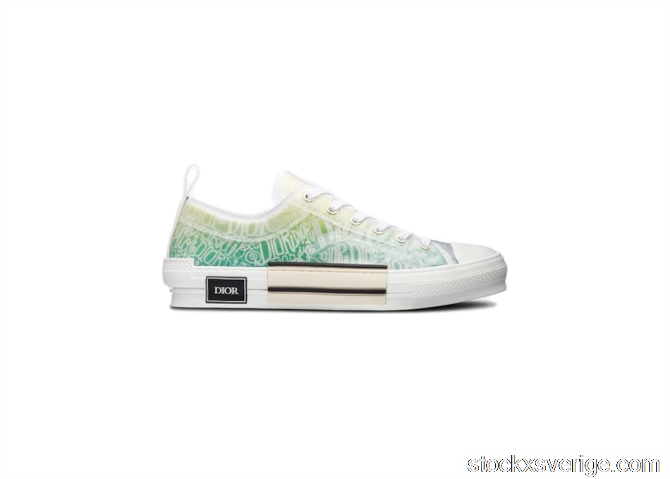 Dior And Shawn B23 Low Top3SN249YYL_H661