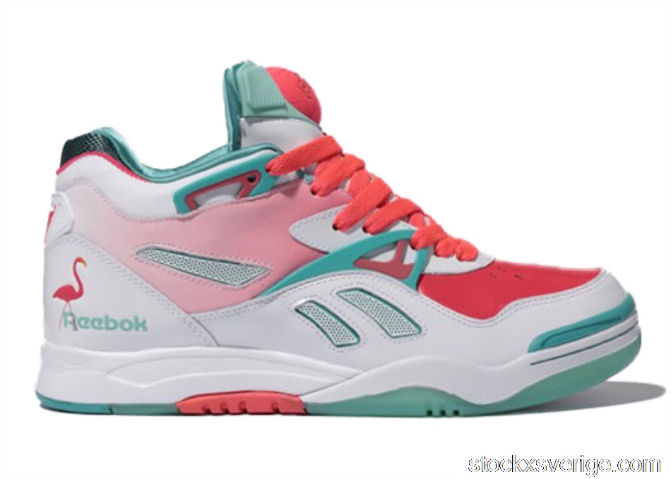 Reebok Court Victory Pump 2 Michael Chang Miami Vice6-J05296