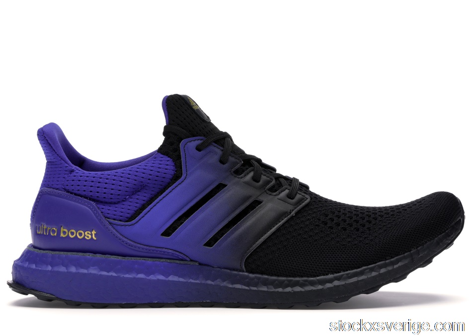 adidas Ultra Boost DNA Black PurpleFU9993